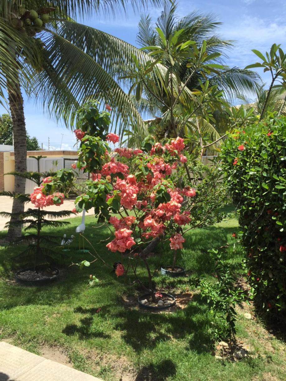 Pousada Villa Joia Barra de Sao Miguel Εξωτερικό φωτογραφία